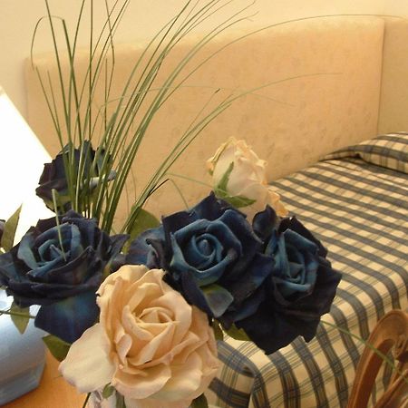 B&B Siena In Centro - Diffuso 외부 사진